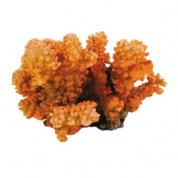 Decor coral 12 cm 8838
